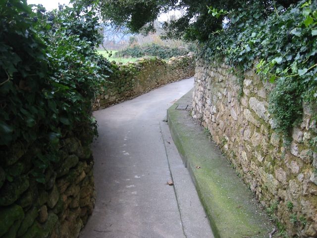walking path